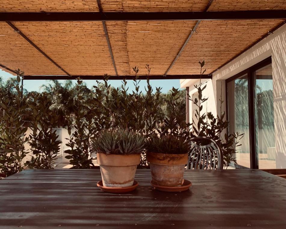 Petrasicula Apartment أكيتْريتْسا المظهر الخارجي الصورة