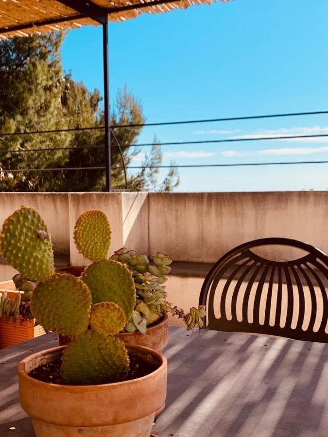 Petrasicula Apartment أكيتْريتْسا المظهر الخارجي الصورة
